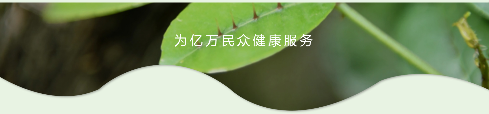 k8凯发(中国)天生赢家·一触即发