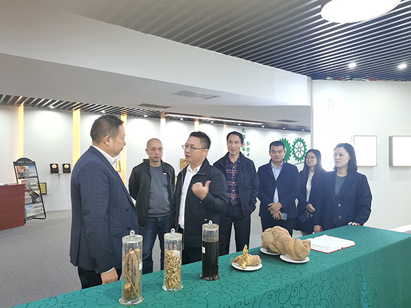 k8凯发(中国)天生赢家·一触即发