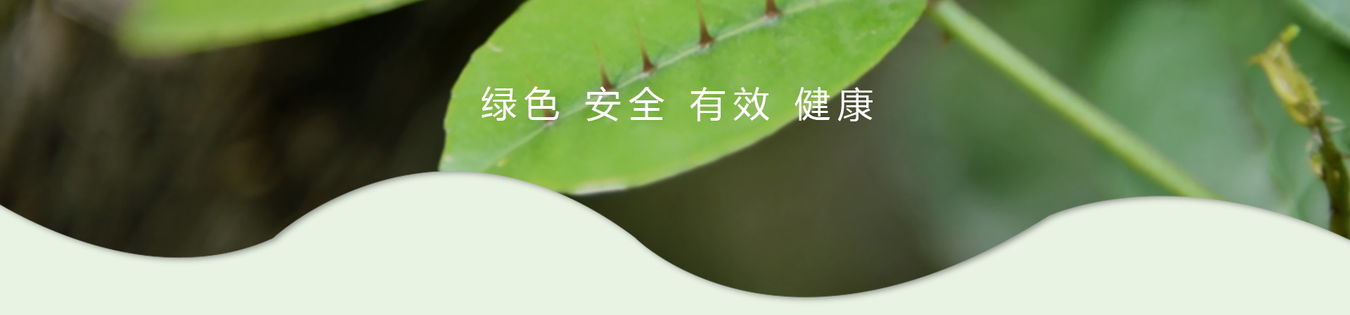k8凯发(中国)天生赢家·一触即发