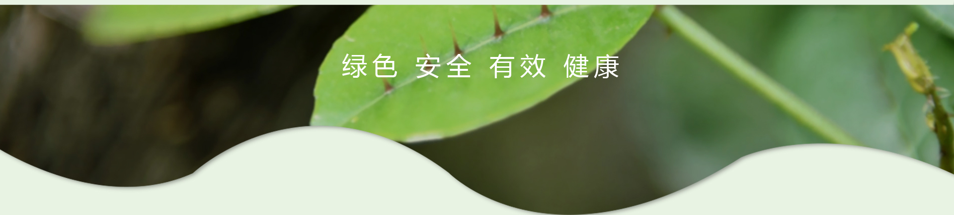 k8凯发(中国)天生赢家·一触即发