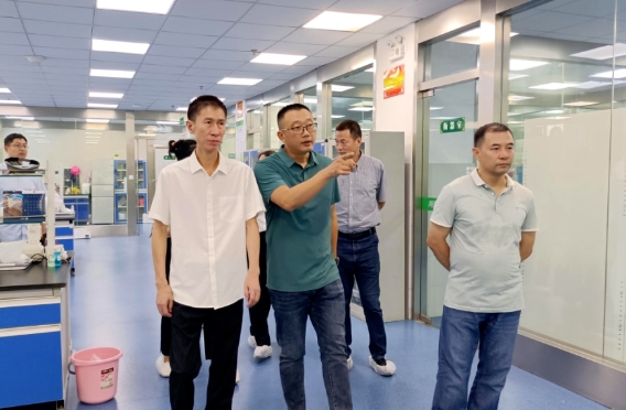 k8凯发(中国)天生赢家·一触即发