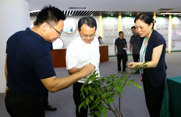 k8凯发(中国)天生赢家·一触即发