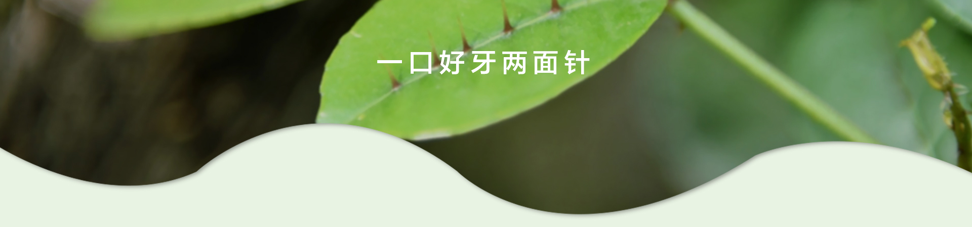 k8凯发(中国)天生赢家·一触即发